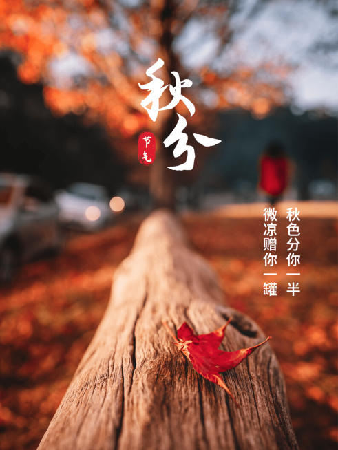 秋天节气秋分简约风plog模板预览效果