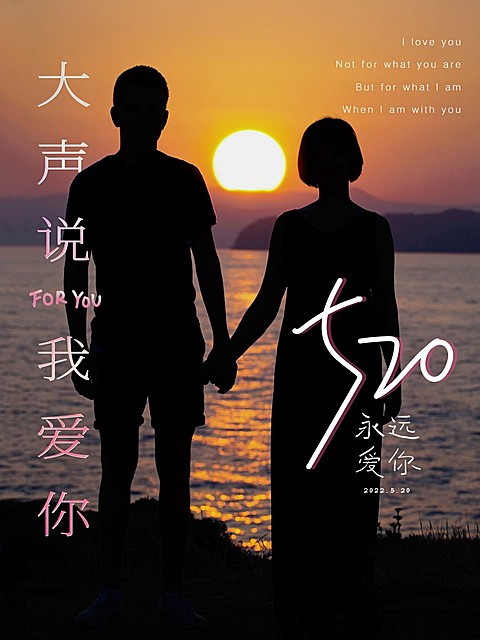 520情侣表白说爱你夕阳日落简约风plog模板