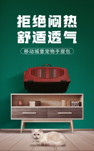 简约时尚常规宠物箱包猫包海报 