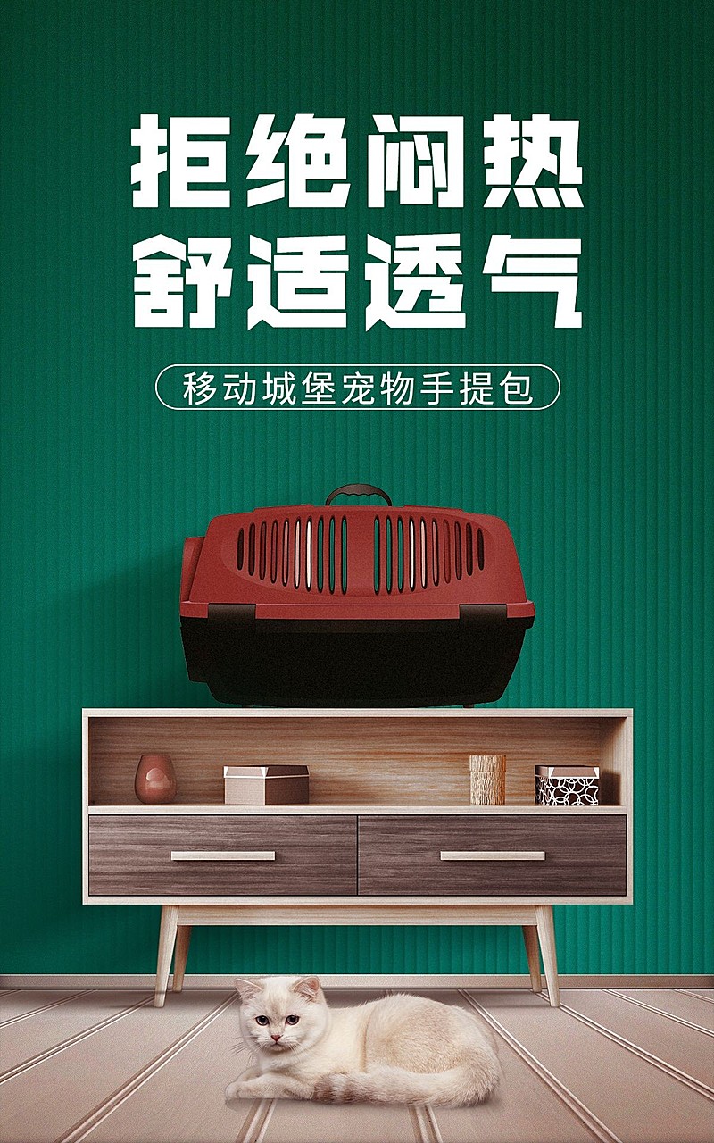 简约时尚常规宠物箱包猫包海报 