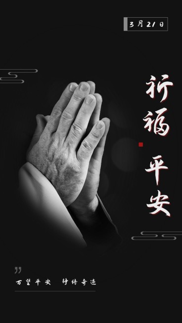 飞机事故祈祷祝福竖版海报预览效果