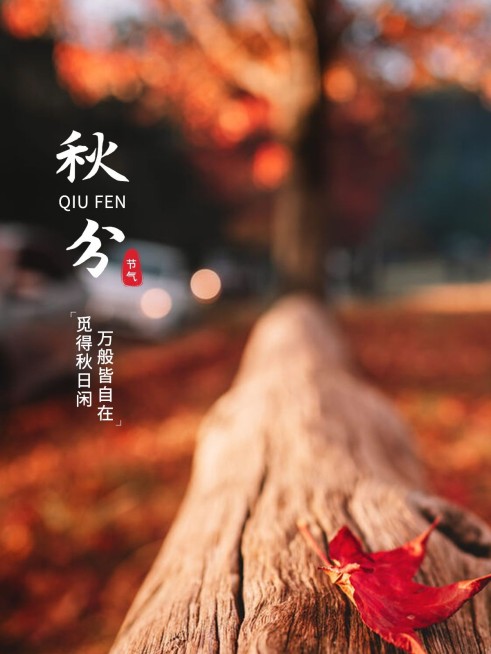 秋天节气秋分简约风plog模板预览效果