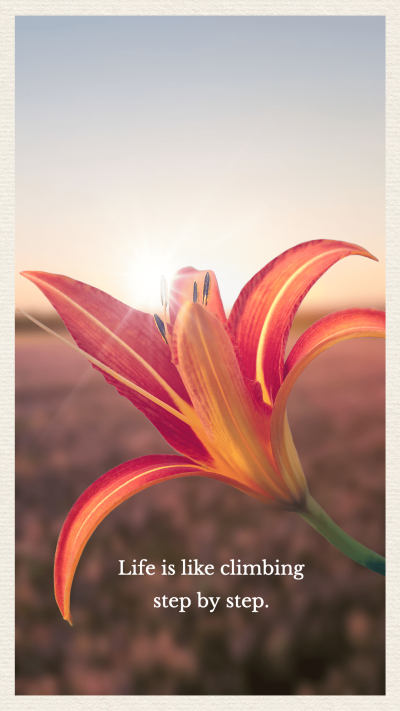 Simple Sunlight Flower Illustration Inspiring quotes Instagram story