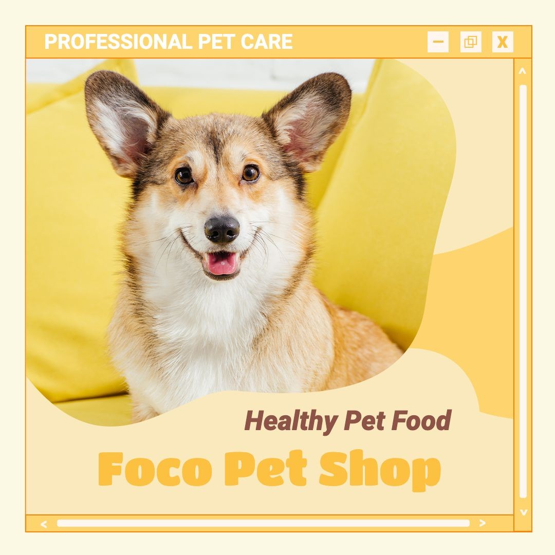 宠物用品店铺营销电商主图Pet Supplies Promo Ecommerce Product Image预览效果