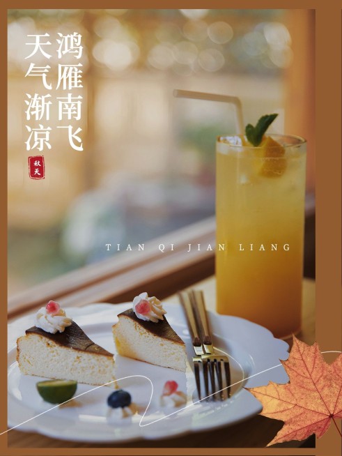 秋季季节晒生活简约风plog模板预览效果