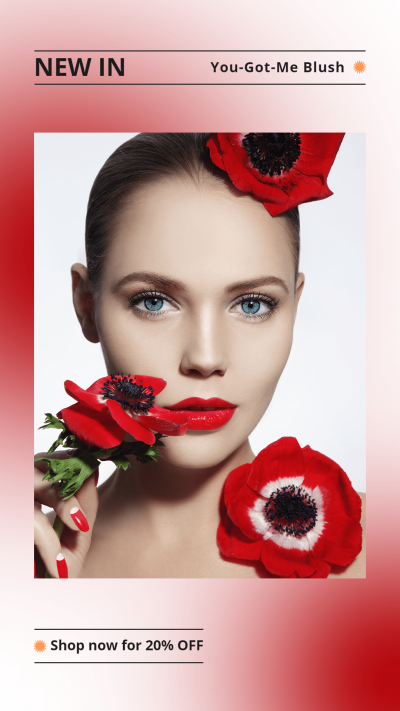 Luxury Powder Blusher Promotion Ecomemrce Story