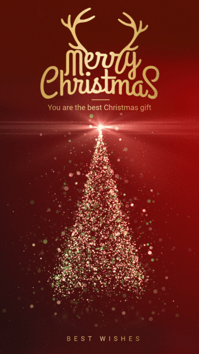 Literary Style Light Element Christmas Greeting Instagram Story Video