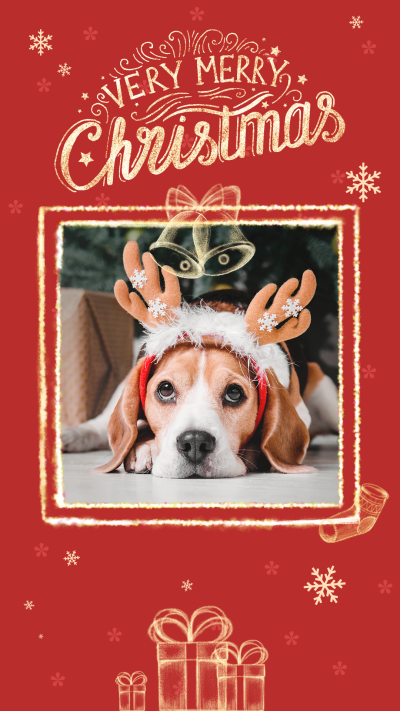 Christmas Pet Photo Template Simple Fashion Style Poster Instagram Story