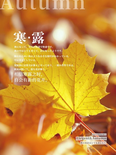 节气寒露晒风景简约风plog模板预览效果