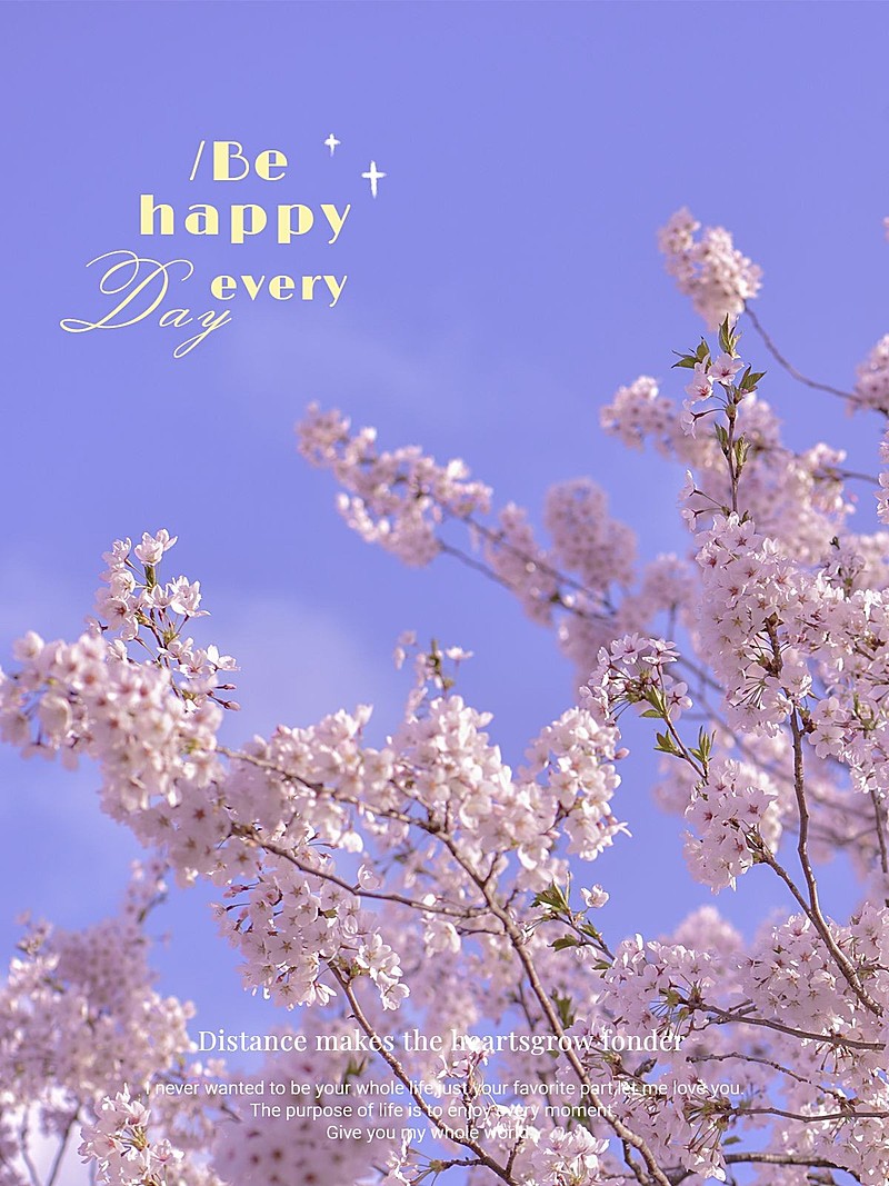 天空/云朵鲜花特写简约风plog模板