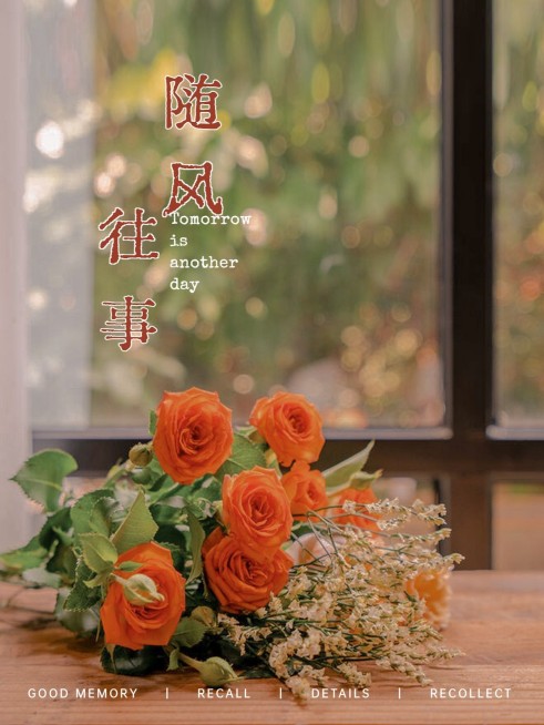 电影海报杂志记录简约风plog模板预览效果