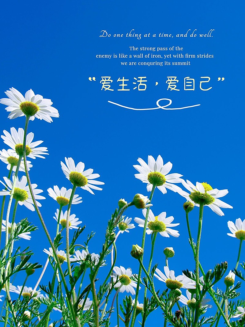 天空/云朵鲜花特写文艺风plog模板