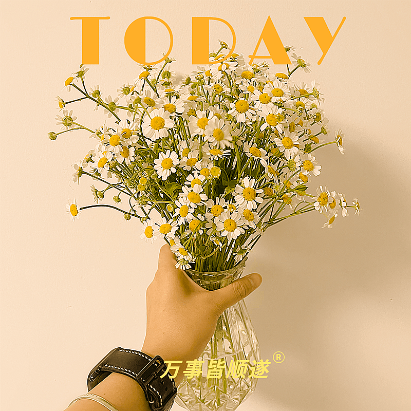 日常晒物生活分享文艺风plog模板