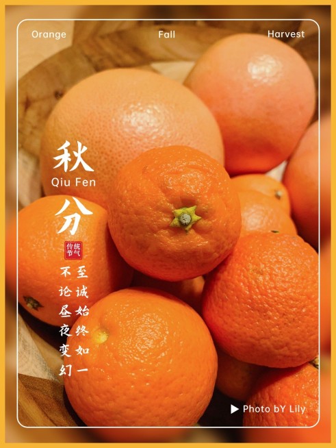 秋天节气秋分轻拟物plog模板预览效果