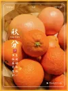小暑节气活动通知模板