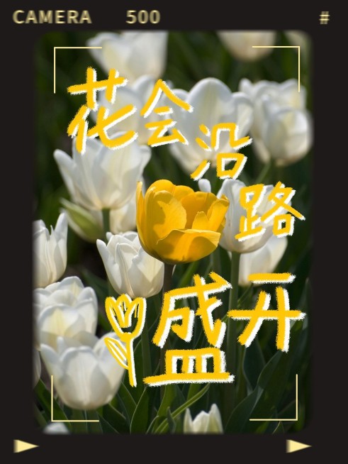 涂鸦风景记录晒花胶片风plog模板预览效果