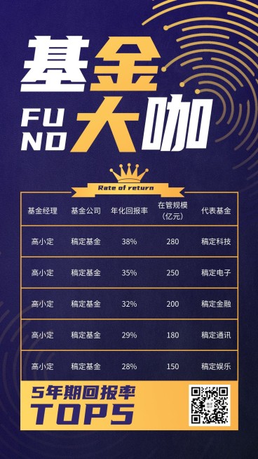 金融保险基金产品排行榜TOP5表格海报预览效果