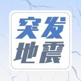 模板缩略图