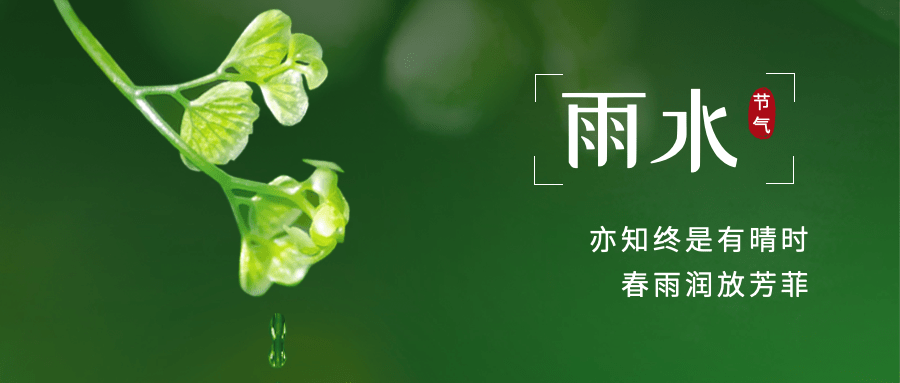 雨水节气祝福水滴小草公众号首图预览效果