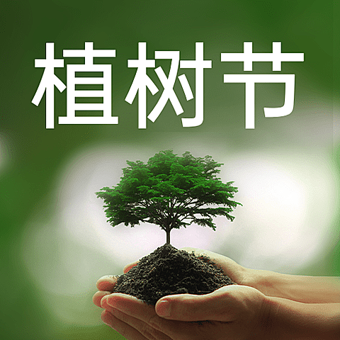 植树节节日祝福公众号次图