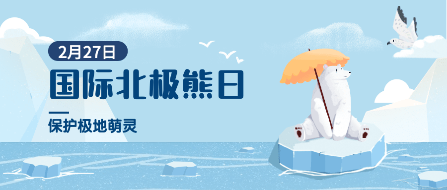 2.27国际北极熊日动物保护手绘公众号首图预览效果
