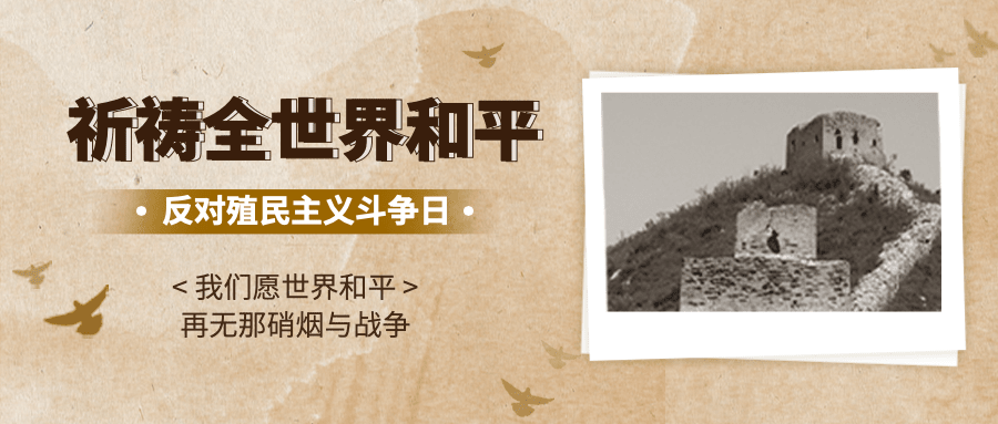 2.21反殖民主义斗争日公益宣传复古公众号首图预览效果