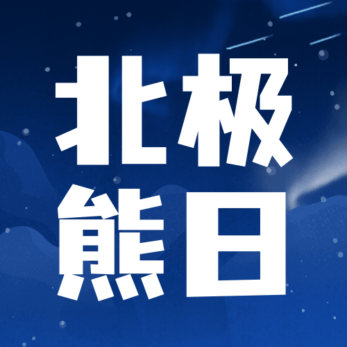 2.27国际北极熊日动物保护手绘公众号次图预览效果