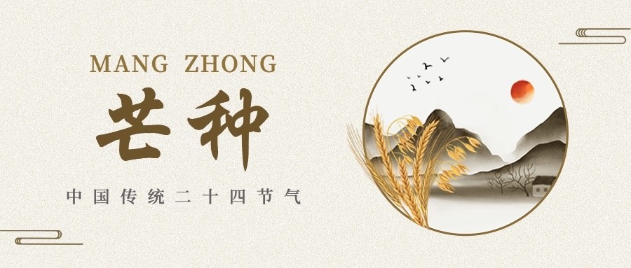芒种节气祝福排版公众号首图
