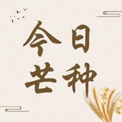芒种节气祝福排版公众号次图