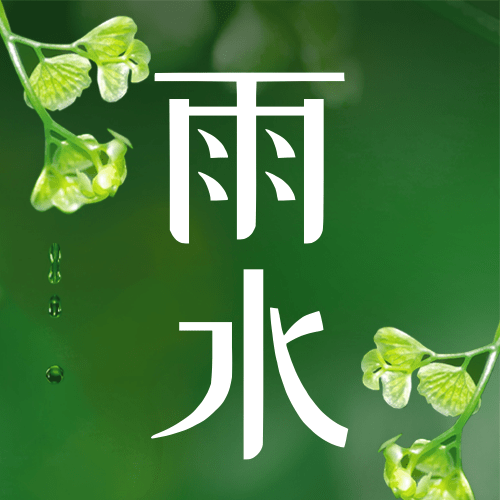 雨水节气祝福水滴小草公众号次图预览效果