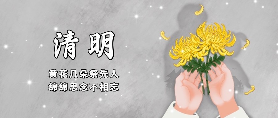 清明节寄哀思插画公众号首图预览效果