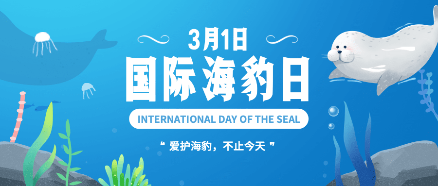 3.1国际海豹日公众号首图预览效果