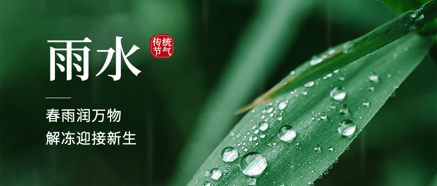 雨水节气祝福水滴公众号首图预览效果