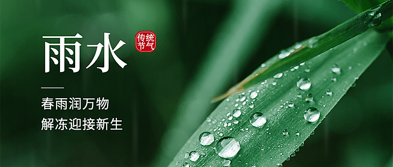 雨水节气祝福水滴公众号首图