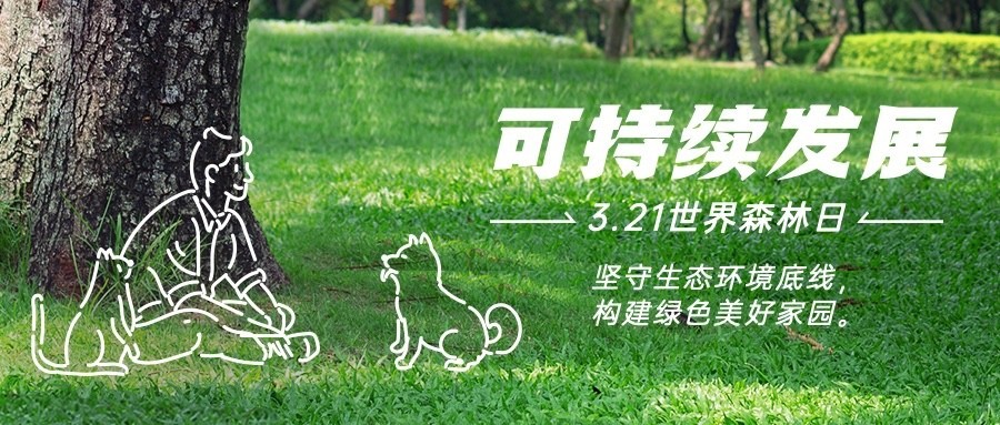 世界森林日节日宣传公众号首图预览效果