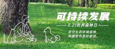 世界森林日节日宣传公众号首图