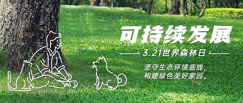 世界森林日节日宣传公众号首图