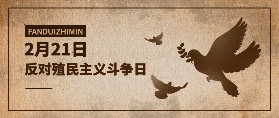 2.21反殖民主义斗争日公益宣传复古公众号首图