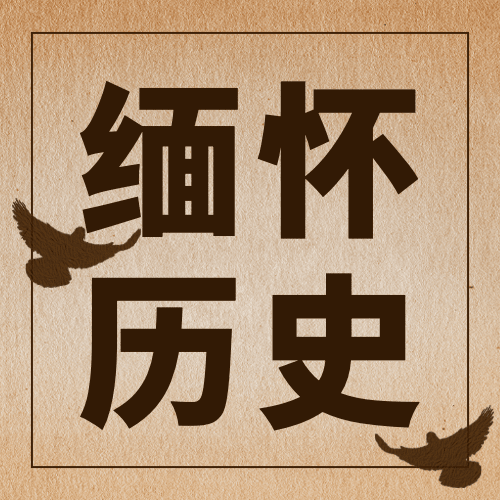 2.21反殖民主义斗争日公益宣传复古公众号次图预览效果