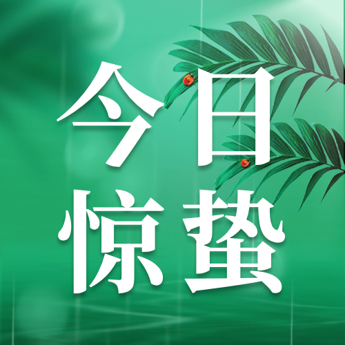 惊蛰节气祝福宣传物料公众号次图预览效果
