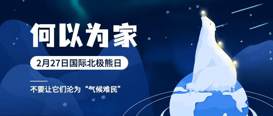2.27国际北极熊日动物保护手绘公众号首图预览效果