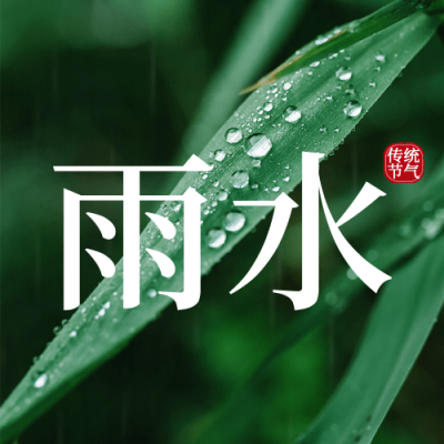 雨水节气祝福水滴公众号次图
