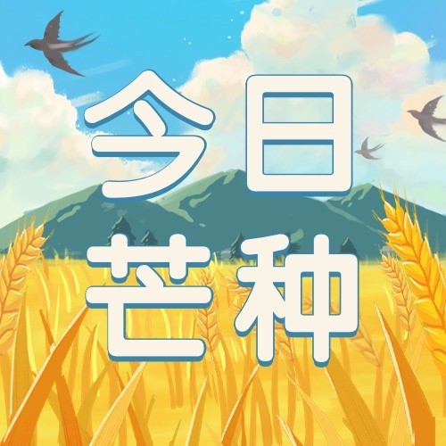 芒种节气祝福插画公众号次图预览效果