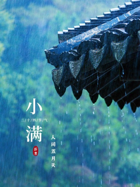 夏日节气小满晒照简约风plog模板预览效果