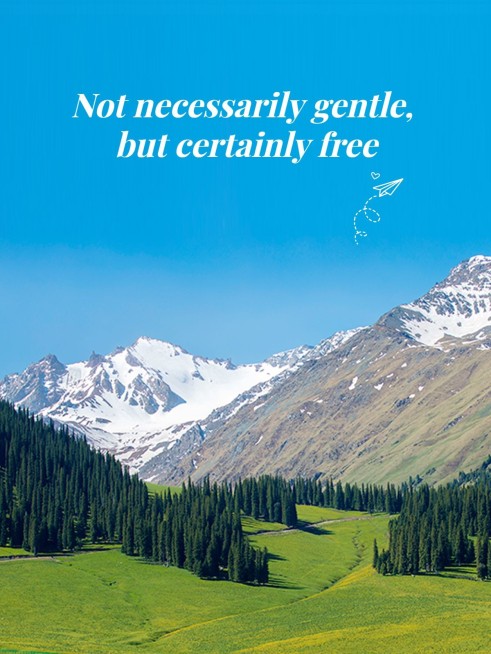 风景旅游记录简约风plog模板预览效果