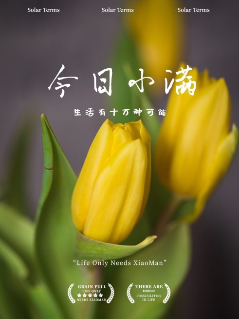 夏日节气小满杂志风plgo模板预览效果