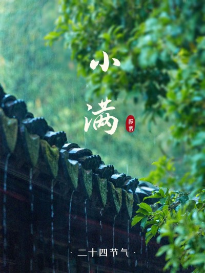 夏日节气小满风景晒照简约风plog模板