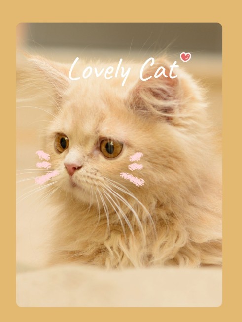 萌宠晒照日常分享可爱风plog模板预览效果