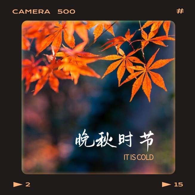 节气霜降晒风景界面风plog模板预览效果