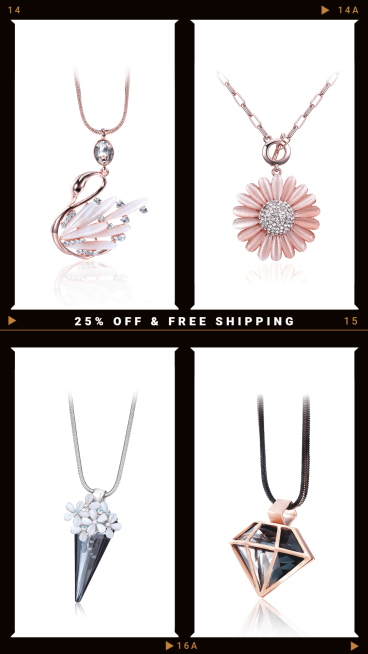 Jewellery Discount Ecommerce Story预览效果